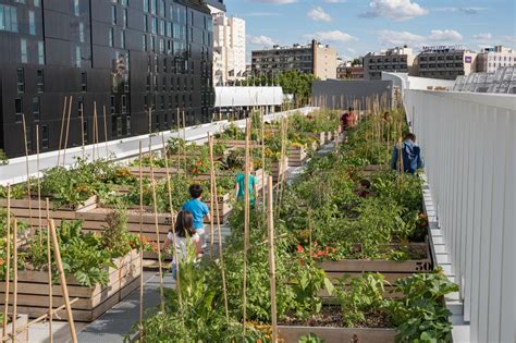 Système d'aquaponie dans une ferme urbaine moderne
