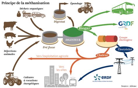 Schéma de fonctionnement d'une unité de méthanisation à la ferme