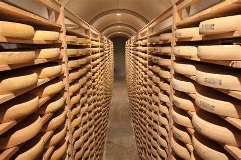 Fromages de Comté en cours d'affinage dans une cave