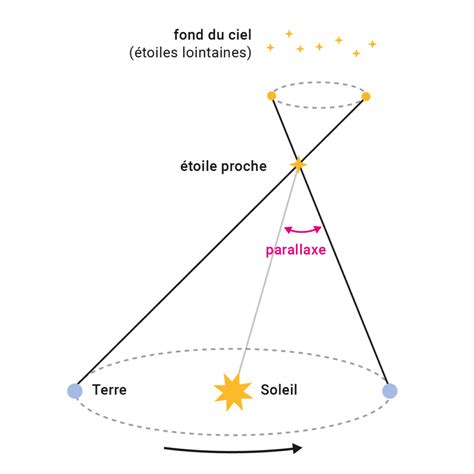 Schéma expliquant la mesure de la distance de plantation