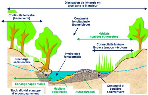Cours d'eau avec sa zone de servitude