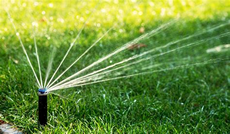 Système d'arrosage enterré GARDENA dans un jardin