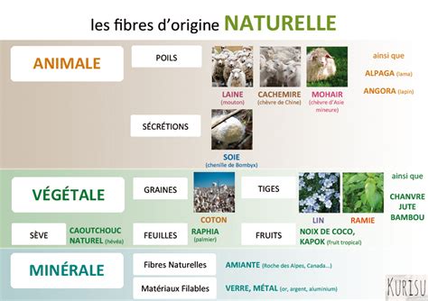 Infographie comparant les propriétés des fibres naturelles et synthétiques