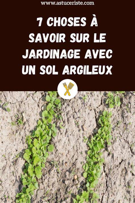 schéma explicatif du fonctionnement d'un scarificateur sur un sol argileux