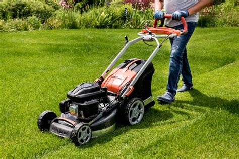 Une tondeuse à gazon moderne sur une pelouse bien entretenue dans un jardin résidentiel