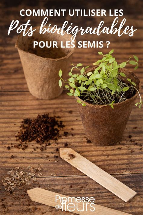 tableau comparatif pots biodégradables vs pots plastiques