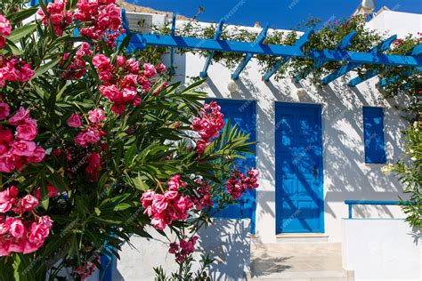Paysage typique de la Tunisie avec ses bougainvilliers en fleur
