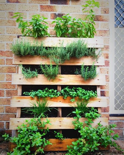Exemple de potager vertical en permaculture sur un balcon