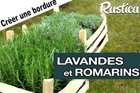 Bordure de lavande et romarin sous le soleil