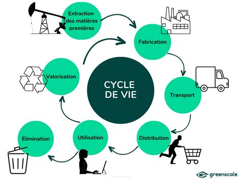Schéma du cycle de vie dans un verger