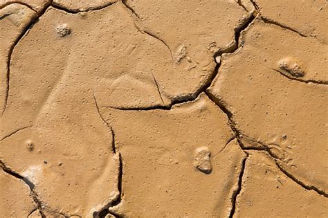 Photo d'un sol argileux avec des fissures