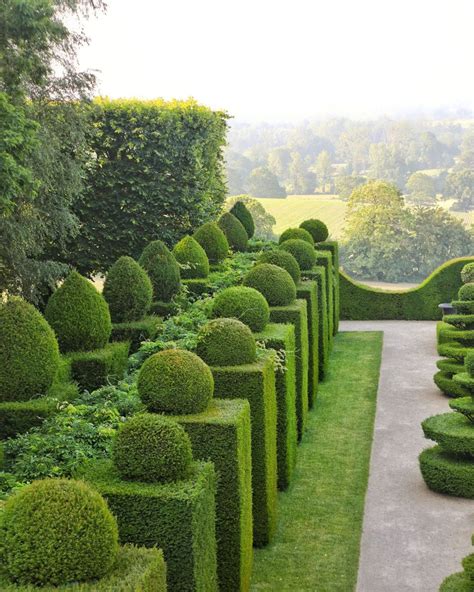 Photographie d'un jardin structuré avec des topiaires, illustrant la symétrie et la discipline