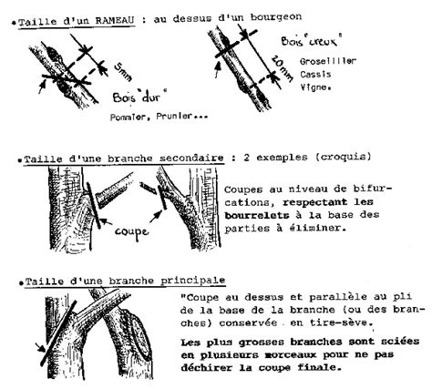 Schéma illustrant la technique du 
