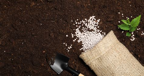 Illustration d'un champ avec différents types d'engrais verts en croissance