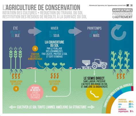 Infographie illustrant les bénéfices des engrais verts sur le sol et la biodiversité