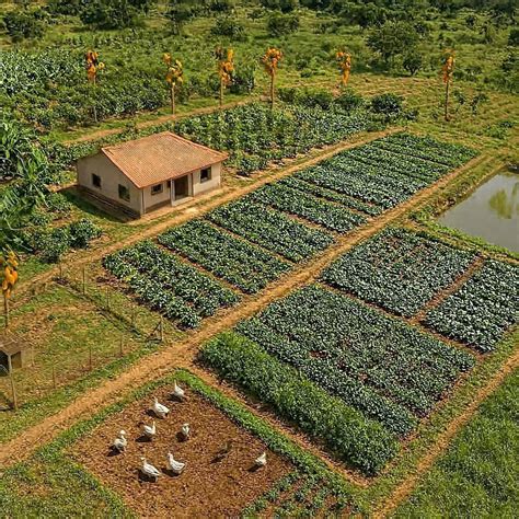 Représentation d'une ferme biologique avec des parcelles d'engrais verts