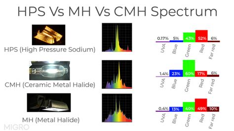 Comparaison spectre HPS vs MH