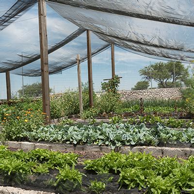 Structures d'ombrage au potager