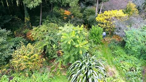 Jardin-forêt en permaculture