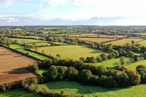 Paysage de bocage avec faibles surfaces boisées