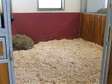 cheval dans un box avec litière de copeaux de bois