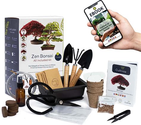 Kit de bonsaïs Cultivea