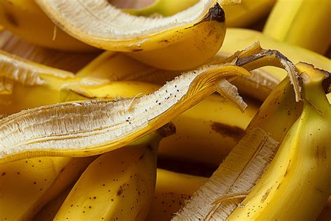 impact des peaux de banane sur les nuisibles