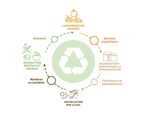 économie circulaire des déchets organiques