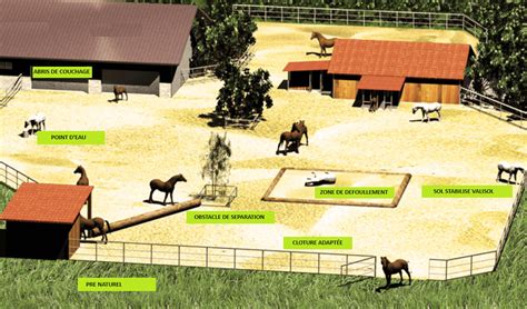 zone stabilisée avec du BRF dans un pré