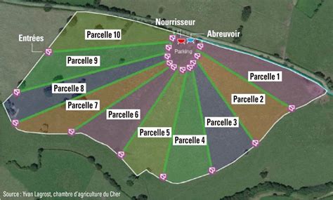 méthode de rotation des pâturages avec des chevaux