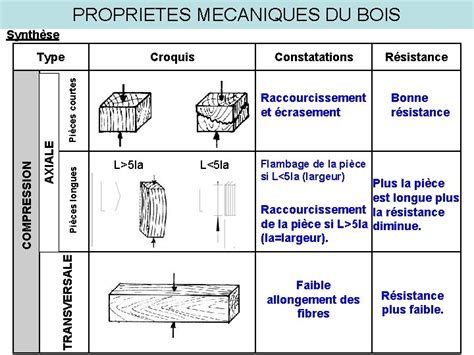 schéma des différentes propriétés du bois sur la santé