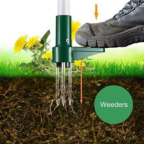 outils de jardinage pour arracher les racines