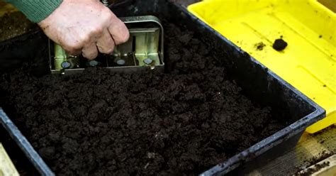 Presse-motte en train de former des mottes de terre