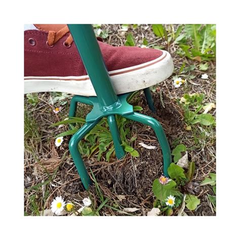 Griffe de jardin et râteau côte à côte