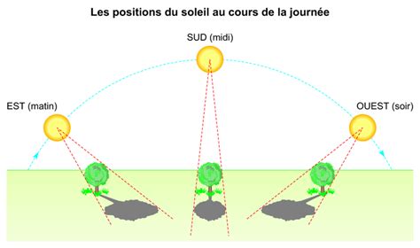 Schéma illustrant l'orientation optimale d'un potager par rapport à la course du soleil au sud
