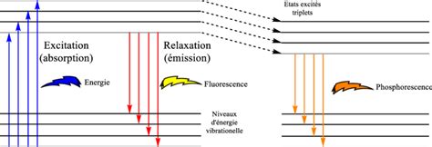 Diagramme simplifié de rhéométrie