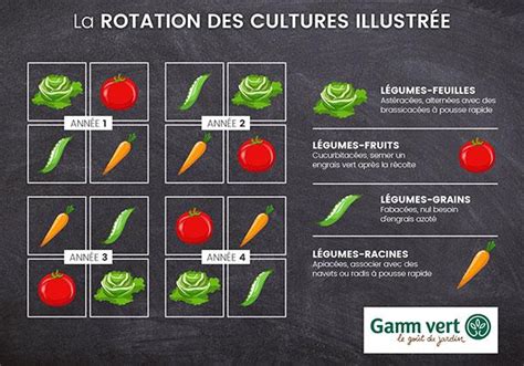 Diagramme de rotation des cultures sur quatre parcelles