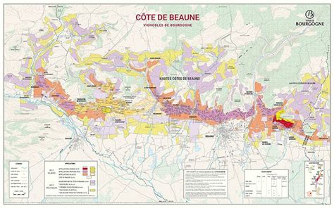 Carte détaillée des parcelles en Côte de Beaune