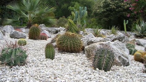 Schéma d'une rocaille de cactus bien drainée