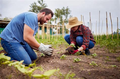 Jeunes gens faisant du woofing dans une ferme biologique