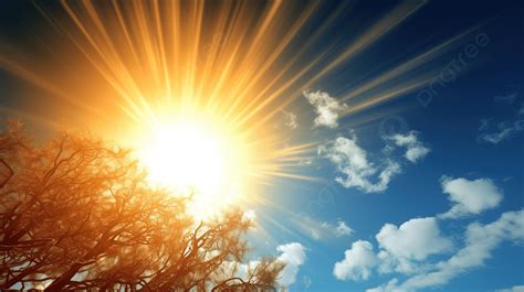 Illustration d'une pelouse verte et luxuriante sous un soleil éclatant, avec un sol sec visible par endroits