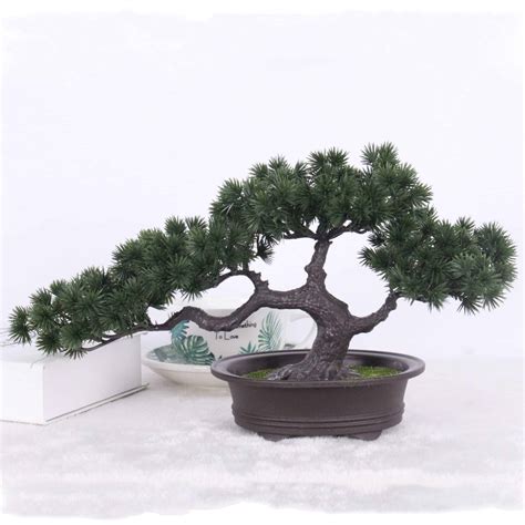 Arbre bonsaï en pot