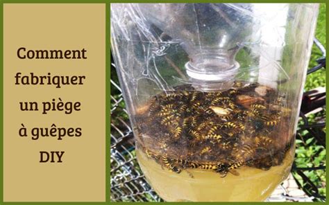 Piège à guêpes artisanal