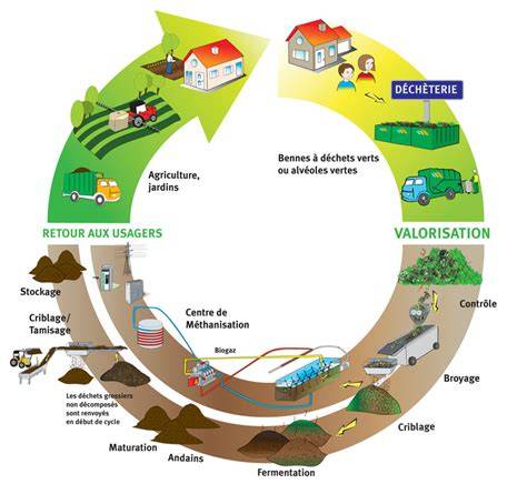 Schéma illustrant le cycle de transformation des déchets verts en compost