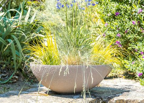 Vue aérienne d'un jardin avec une vasque et des oiseaux