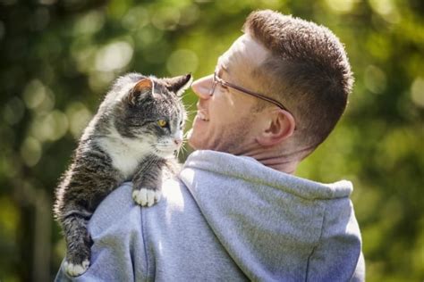 Chat perché sur l'épaule de son maître observant son environnement