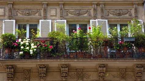 Jardin fleuri sur un balcon en ville