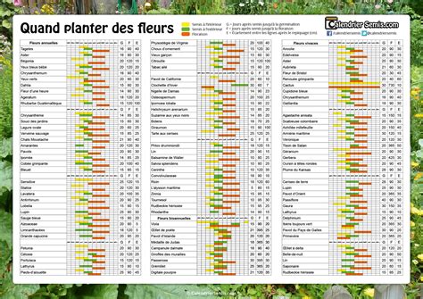 Calendrier des semis de fleurs