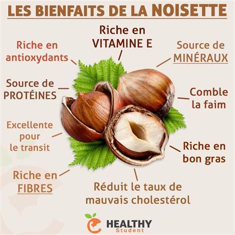 Infographie sur les bienfaits nutritionnels de la noisette