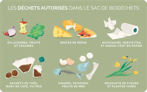 Infographie montrant la répartition des biodéchets et leur potentiel de valorisation